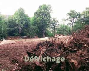 Photo taguée Défrichage du défrichage des bois classés de Montferrat Bas à Royat